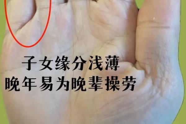 女人手上七个斗是什么命？解密手相背后的秘密与人生指引！