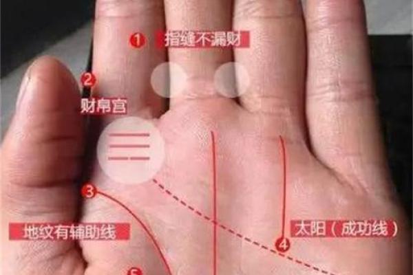 女人手上七个斗是什么命？解密手相背后的秘密与人生指引！
