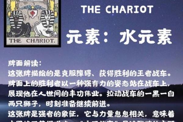探寻命运中的精彩：加点词语的深意与启示