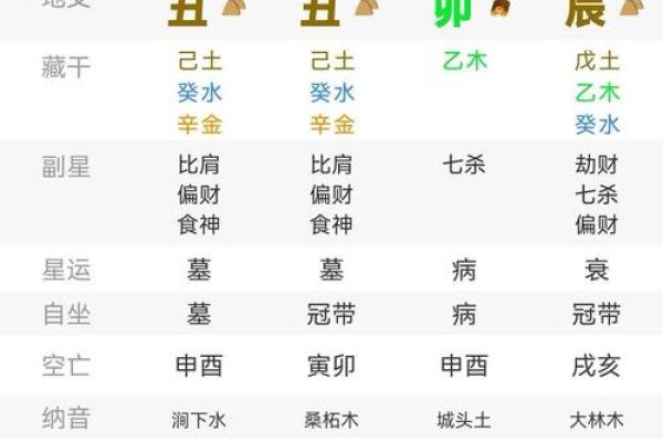 男命月柱七杀比肩的独特解析与运势探秘