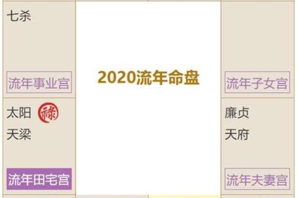 男命月柱七杀比肩的独特解析与运势探秘