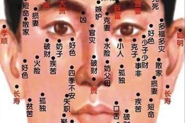 从眉毛看命运：解读男人眉毛的长短与人生轨迹