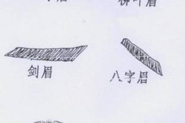 从眉毛看命运：解读男人眉毛的长短与人生轨迹