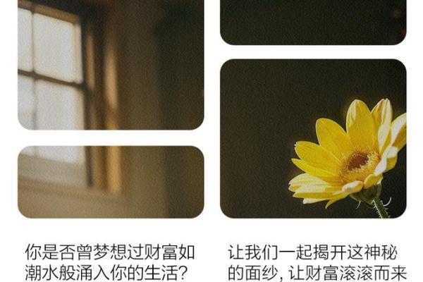 从八字看女命与婆婆发财的关系，揭秘影响财富的深层原因