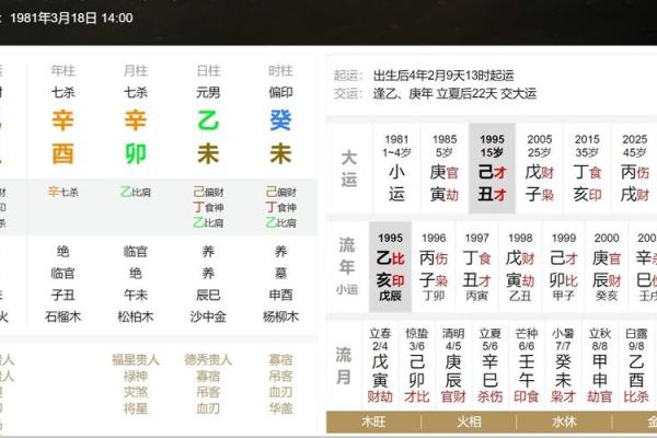 命格解析：八字清奇的奥秘与启示