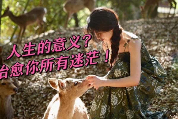 没有了命，我们还要钱做什么？探讨人生的真正价值与意义