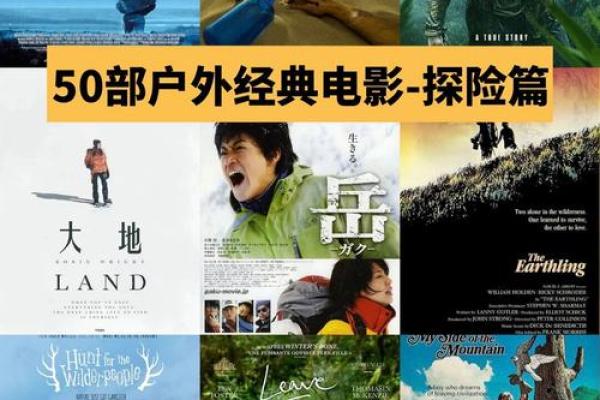 《绝境逢生：那些让人心跳加速的求生电影》