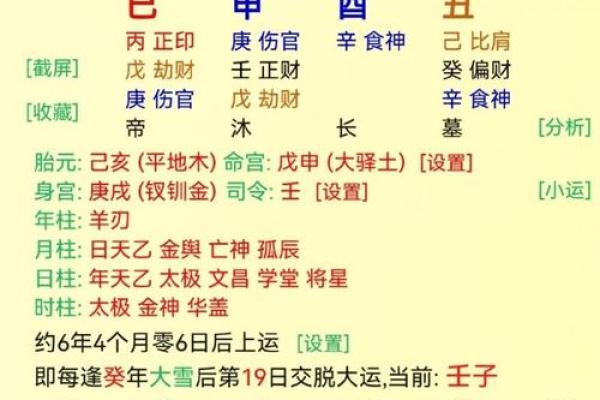 探秘龙命理：哪些命格才能够让龙拥有更好的运势