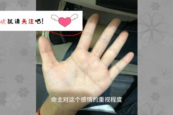 男友口中的“这就是命”，我们应该如何理解生命中的无奈与必然？