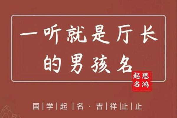 李姓男孩名字选择指南：金命男孩的最佳名字解析