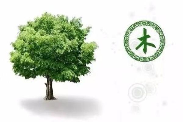 探秘六月初一出生者的命理与性格特征