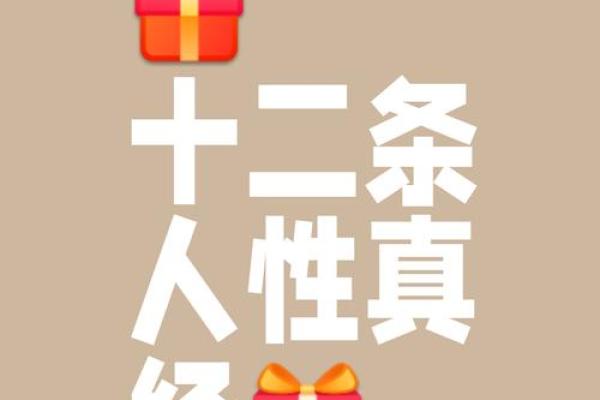 女子命从：她们的人生选择与命运的交织