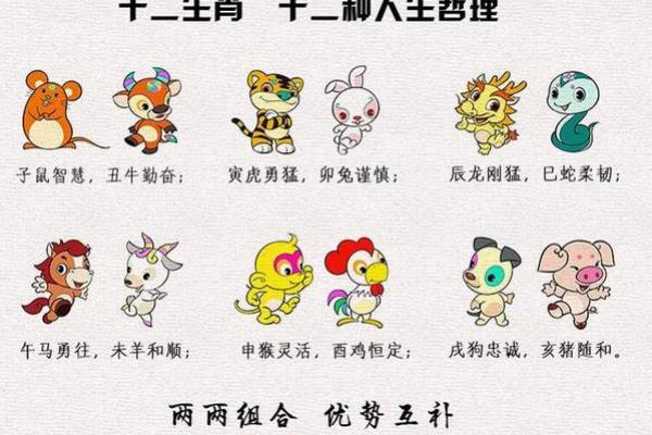 命稀与生肖：命运薄弱的生肖解析与人生启示