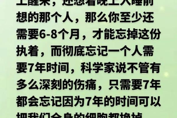 拼了命要忘记的人：心灵的挣扎与释怀