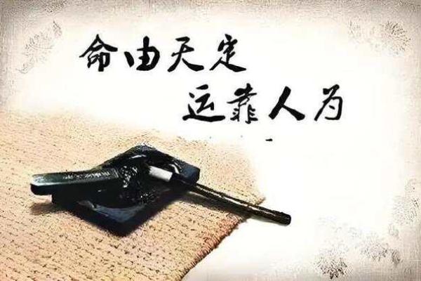 命藏之道：揭示命运背后的深意与智慧