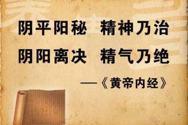 命藏之道：揭示命运背后的深意与智慧