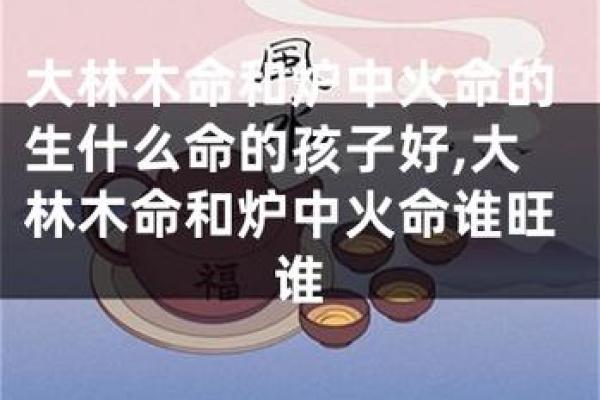 木命与火命相合的深意与启示