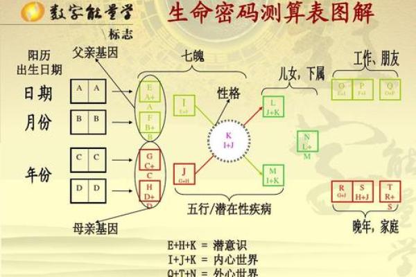 探索1979年命格：你的命运密码在这里揭晓！