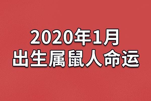揭秘2005年3月17日出生者的命运与性格特点