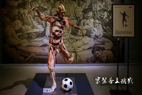 探寻命藏之的奥秘：命与生活的深刻联系