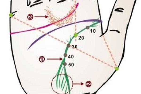 探讨楼层与命理的微妙关系，从居住环境看人生运势的变化