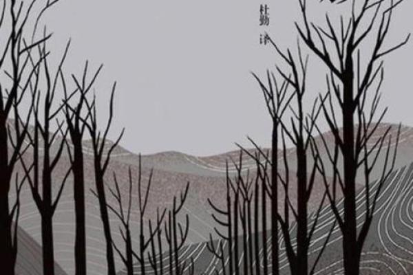 命运交织：在爱情与选择中找到自我