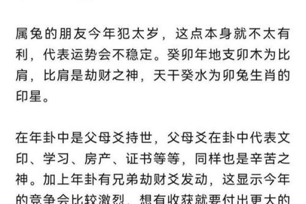 命旺命弱的深刻解析：如何影响你的人生轨迹与运势
