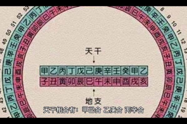 男命天干相合的深层意义与人生启示
