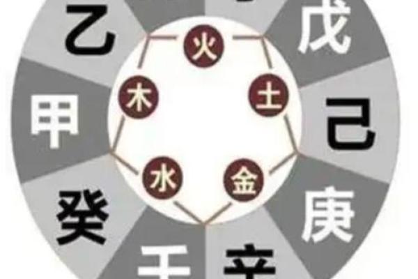 男命3.6两：揭示命理奥秘与人生智慧