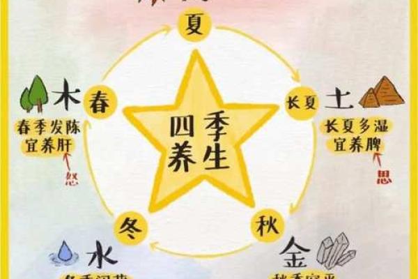 木命与金命：命理中的双生之道与和谐之美