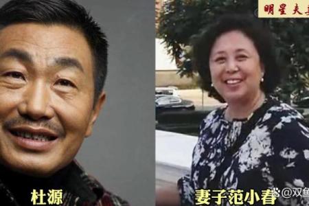 命里损妻子：命运与感情的深刻探讨
